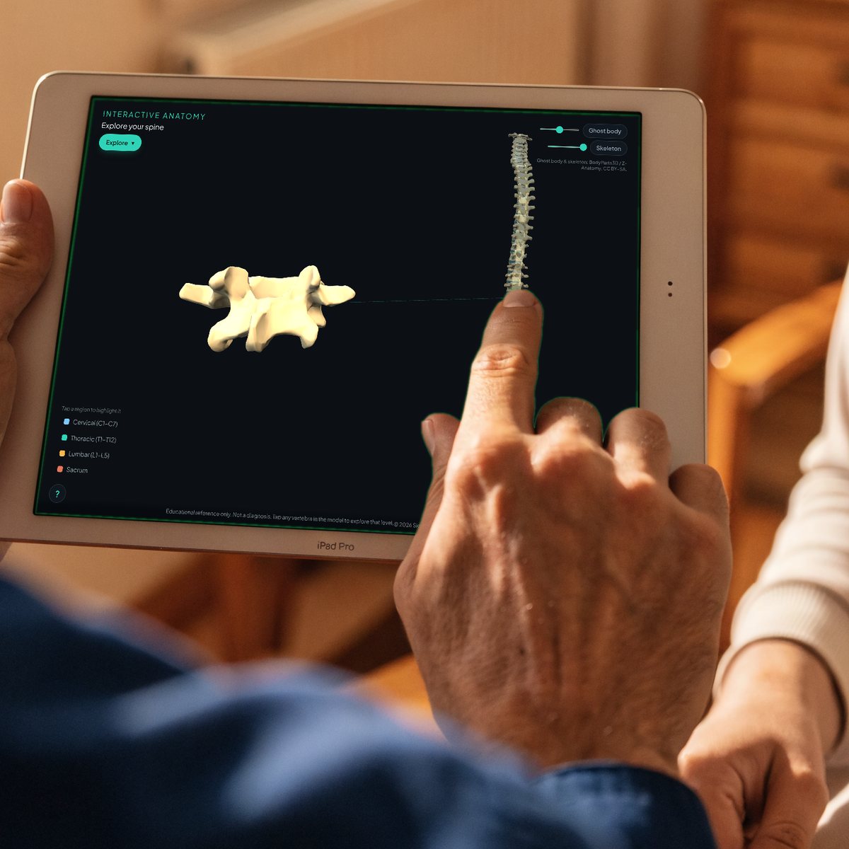 A hand taps a 3D spine model on an iPad and one lower back vertebra pops out large on the screen